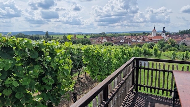 Un vignoble avec des rangées de vignes et une terrasse en bois offrant une vue panoramique sur le paysage.