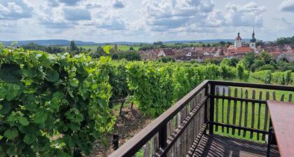 Holiday home in medieval wine town.