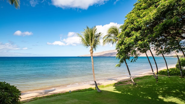 A beach with clear blue water, a sandy shore, and green grass. - Maui Condo Ocean and Park Views Kealia Unit 205 Tranquil Beach Front Resort (Kihei)