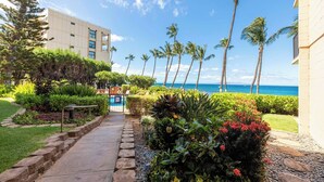 A pathway leading to a building with a view of the ocean and palm trees. - Maui Condo Ocean and Park Views Kealia Unit 205 Tranquil Beach Front Resort (Kihei)