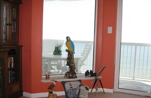 Enjoy the ocean view from the comfort of your room, featuring a bookshelf, a small table with a plant, and a telescope for stargazing.