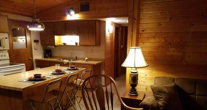 Year round home on WI River/Lake Alice, private dock, on ATV/snowmobile trail.