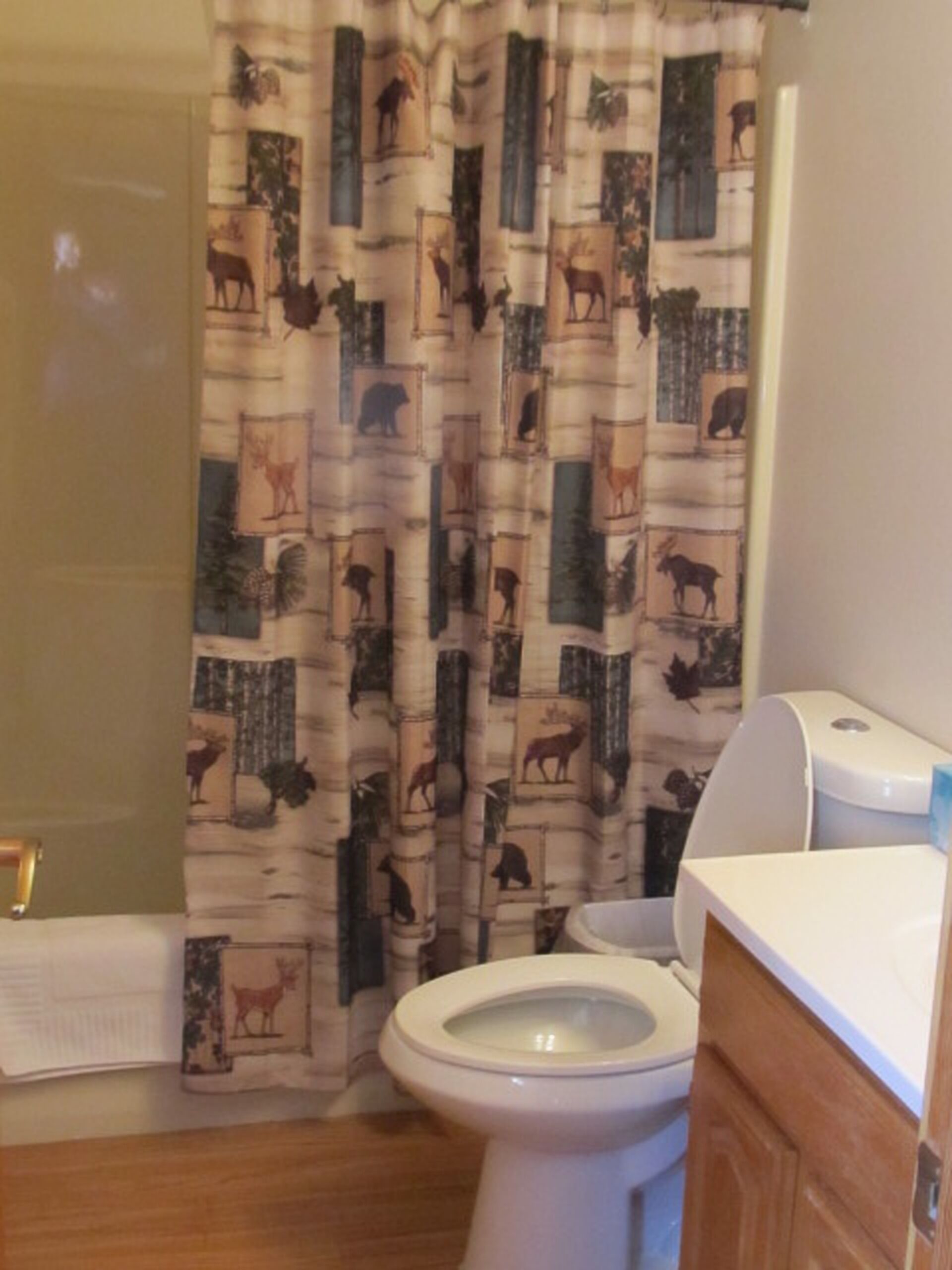 Wonderful Mountain Views