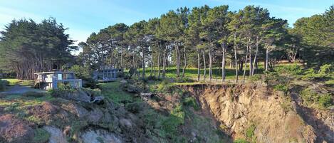 Une maison moderne dotée d’une grande terrasse, entourée d’une forêt dense et d’une falaise abrupte.