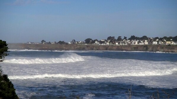 Pool - SWEEPING OCEAN FRONT VIEW, PRIVATE & SECLUDED - Cove Suite (Mendocino)