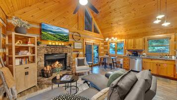 Smart TV, fireplace, books