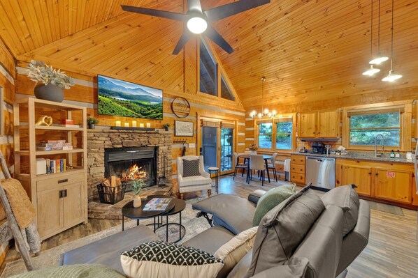 Smart TV, fireplace, books