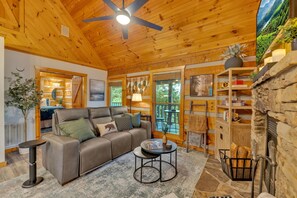 Smart TV, chimenea y libros
