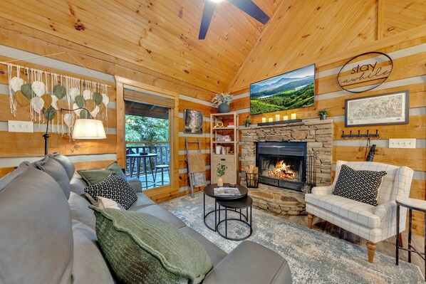 Smart TV, fireplace, books