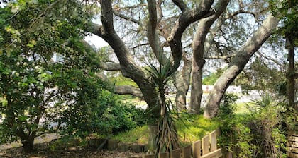 Beautiful Familyfriendly Cottage, paddle boards, bikes kayaks Golf Cart included