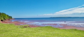 Hot tub, Play area, deck, fully loaded Log home seconds from a Provincial Park.