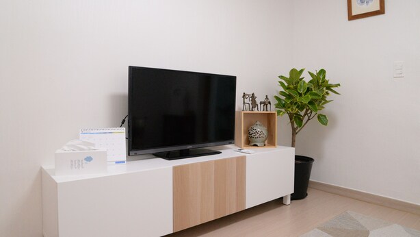 Ein modernes Wohnzimmer mit Flachbildfernseher auf einem weißen Schrank, einer Topfpflanze und einem kleinen Wanddekor.