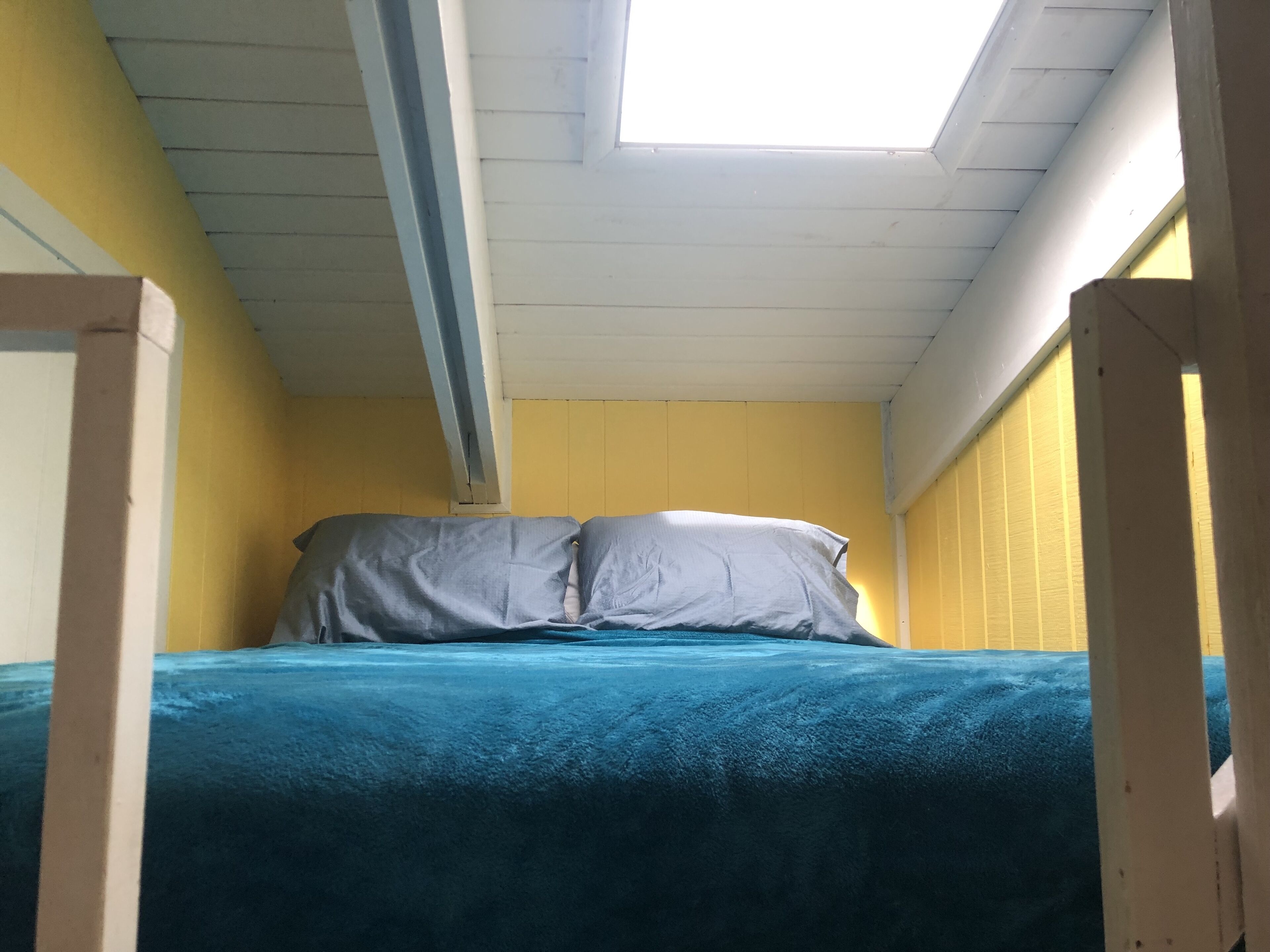 Fun family getaway including your pets! Sleeps 12 - walk to beach 