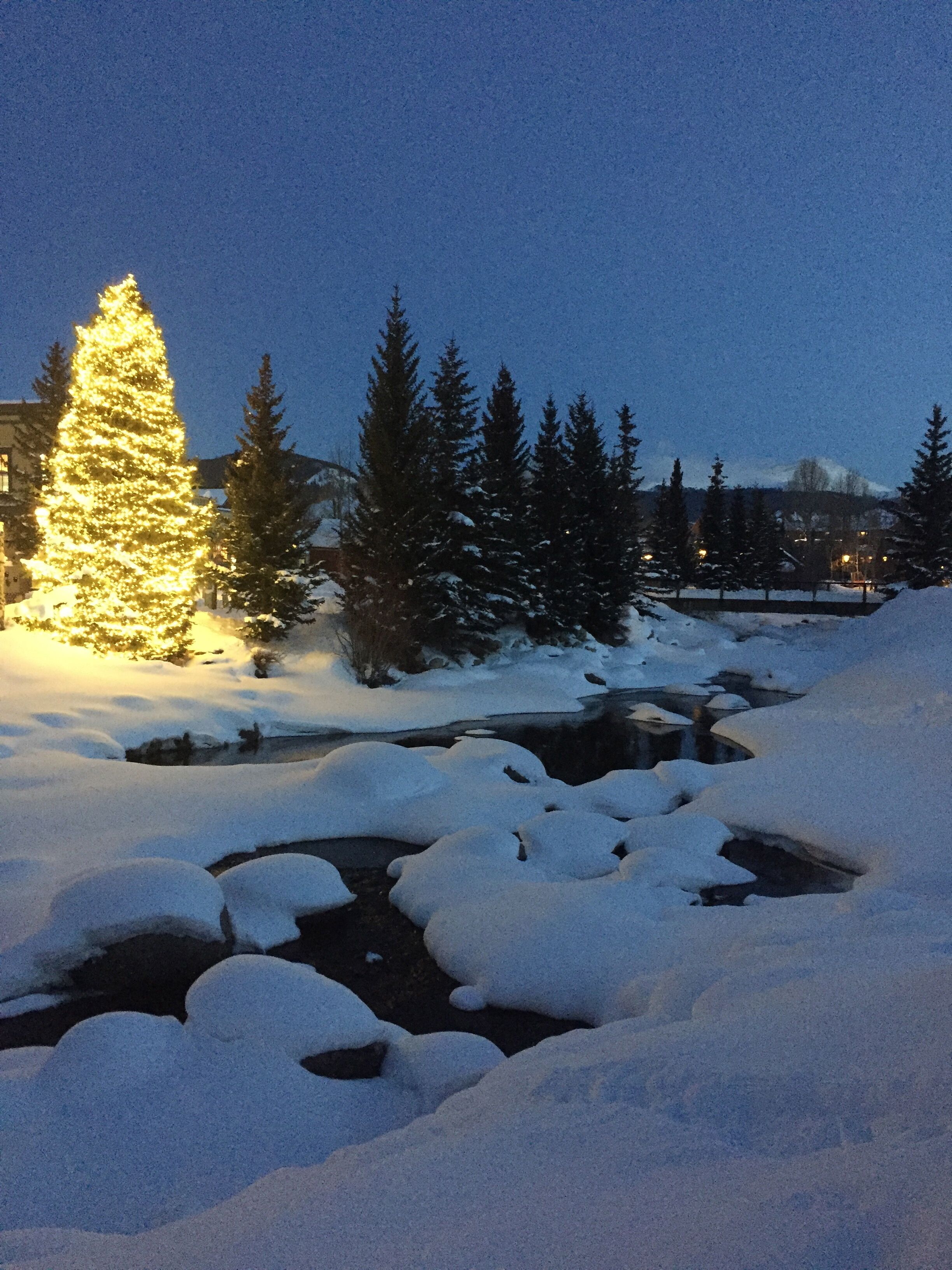 Un paysage enneigé avec un sapin de Noël illuminé, une rivière et des arbres à feuilles persistantes.