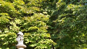A fountain with a classical design, surrounded by lush green trees and a paved area. - Luxury Village House In The Heart Of Historic St.Remy-De-Provence (Saint-Rémy-De-Provence)