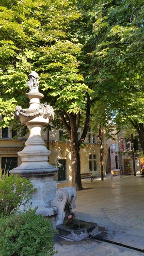 Parco della struttura