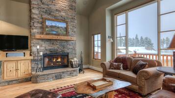 TV connectée, cheminée, jeux vidéo, lecteur de DVD