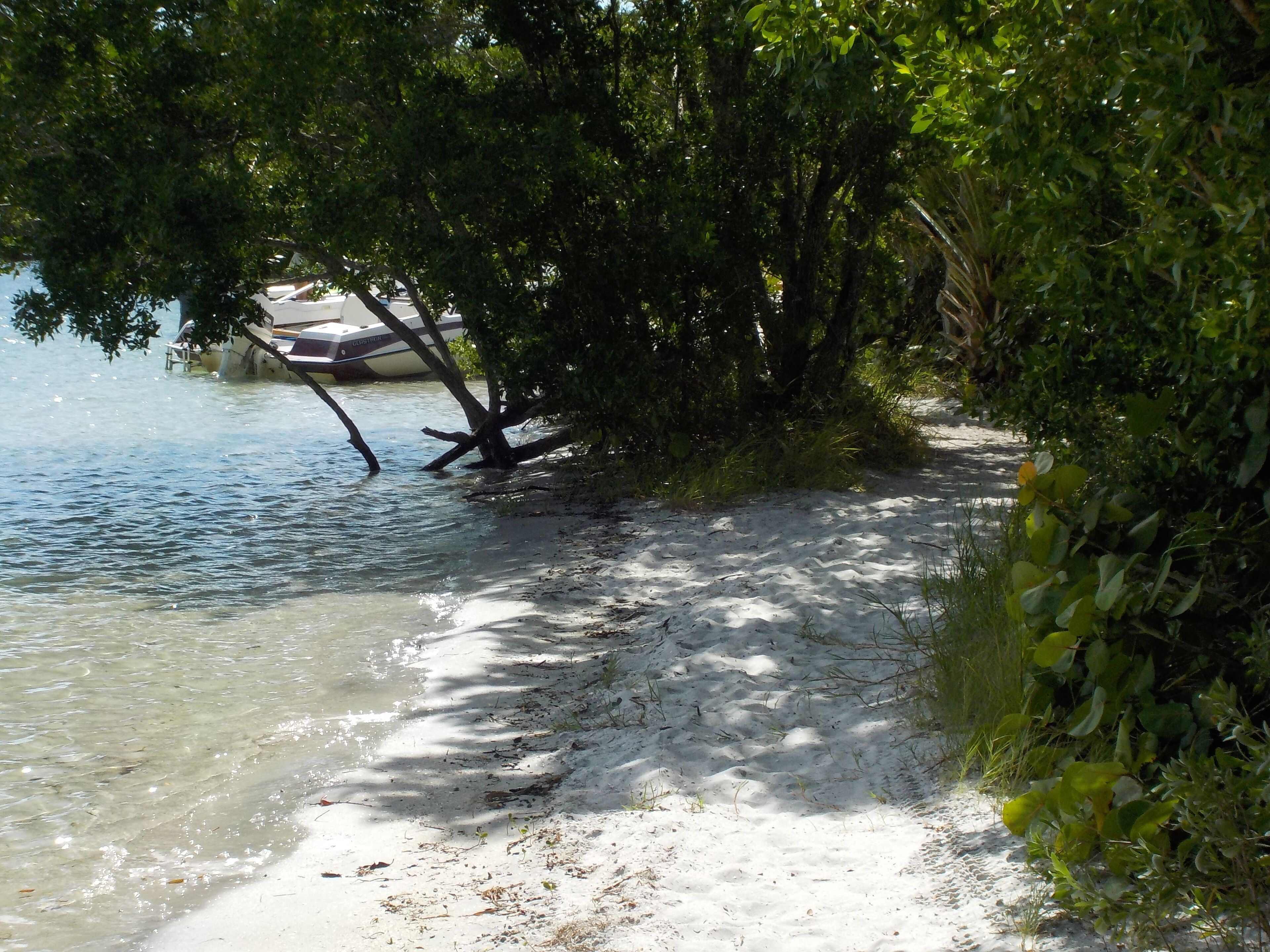 A sandy beach with clear water, trees, and a boat docked in the background.