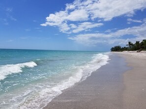Sun-loungers, beach towels - Very Nice, Clean Condo on Manasota Key! Close to Everything! (Englewood)