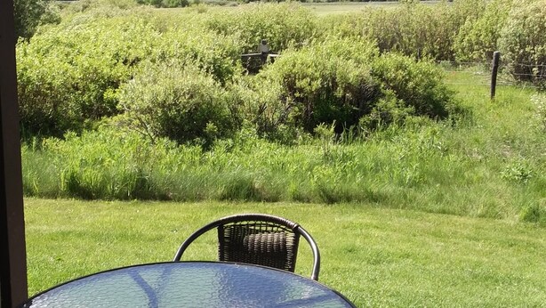 A glass table with wicker chairs in a patio area with a mountain view.