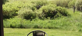 Wildlife, Tram&Mountain Views, Creek, GTNP & Yellowstone, Free Bikes