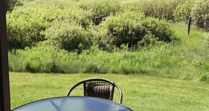 Wildlife, Tram&Mountain Views, Creek, GTNP & Yellowstone, Free Bikes