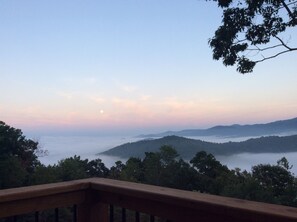 Property grounds - Incredible Mountain Views on 5 Acres (Swannanoa)