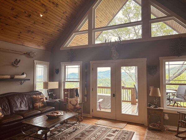 Smart TV, fireplace, DVD player, books