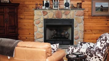 TV, caminetto, videogiochi, lettore DVD