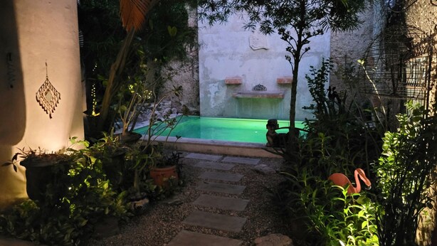Ein Innenhof mit kleinem Pool, Steinweg und unterschiedlicher Bepflanzung.