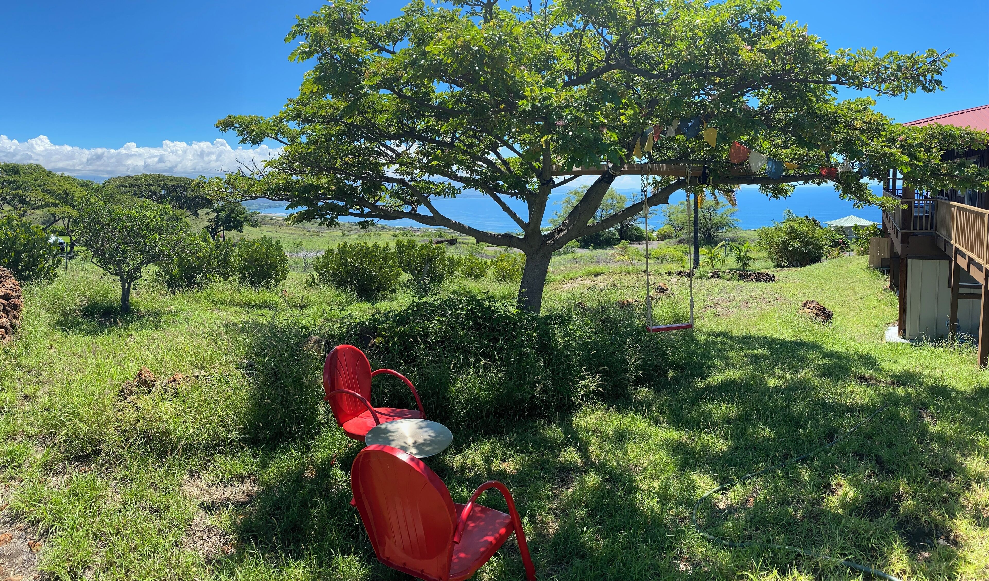 A red chair under a tree in a grassy area with a view of the sea and a building with a red roof.