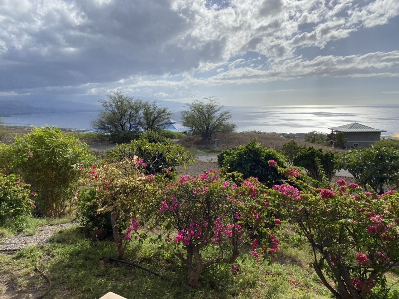 Paisaje costero con una casa, árboles floreados y vista al mar bajo un cielo nublado.