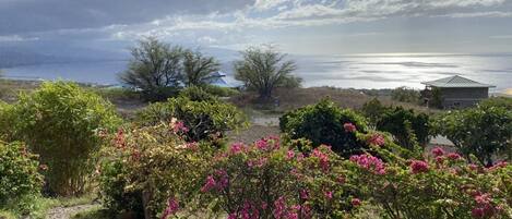 Paisaje costero con una casa, árboles floreados y vista al mar bajo un cielo nublado.