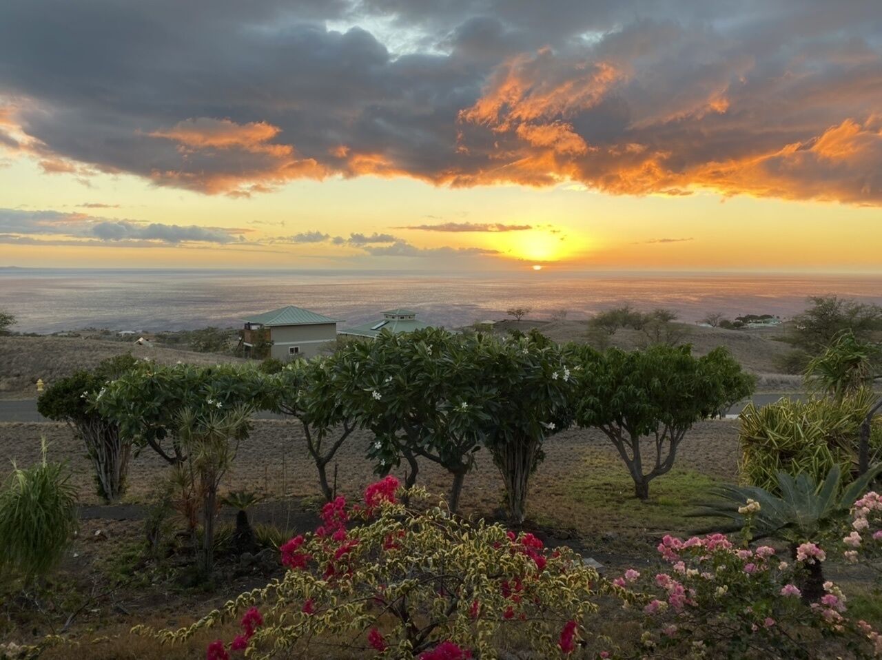 Un paisaje con un atardecer, una casa y un jardín con diversas plantas y flores.