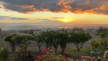 Un paisaje con un atardecer, una casa y un jardín con diversas plantas y flores.
