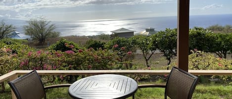 Servei de restauració a l'aire lliure