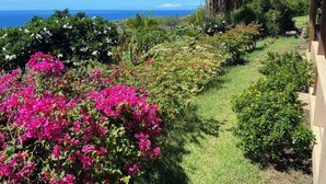 Un jardín con diversas plantas y flores, un sendero y vistas al océano.