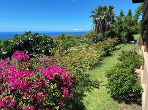 Property grounds - Studio Kohala Big Island Ocean View (kamuela)