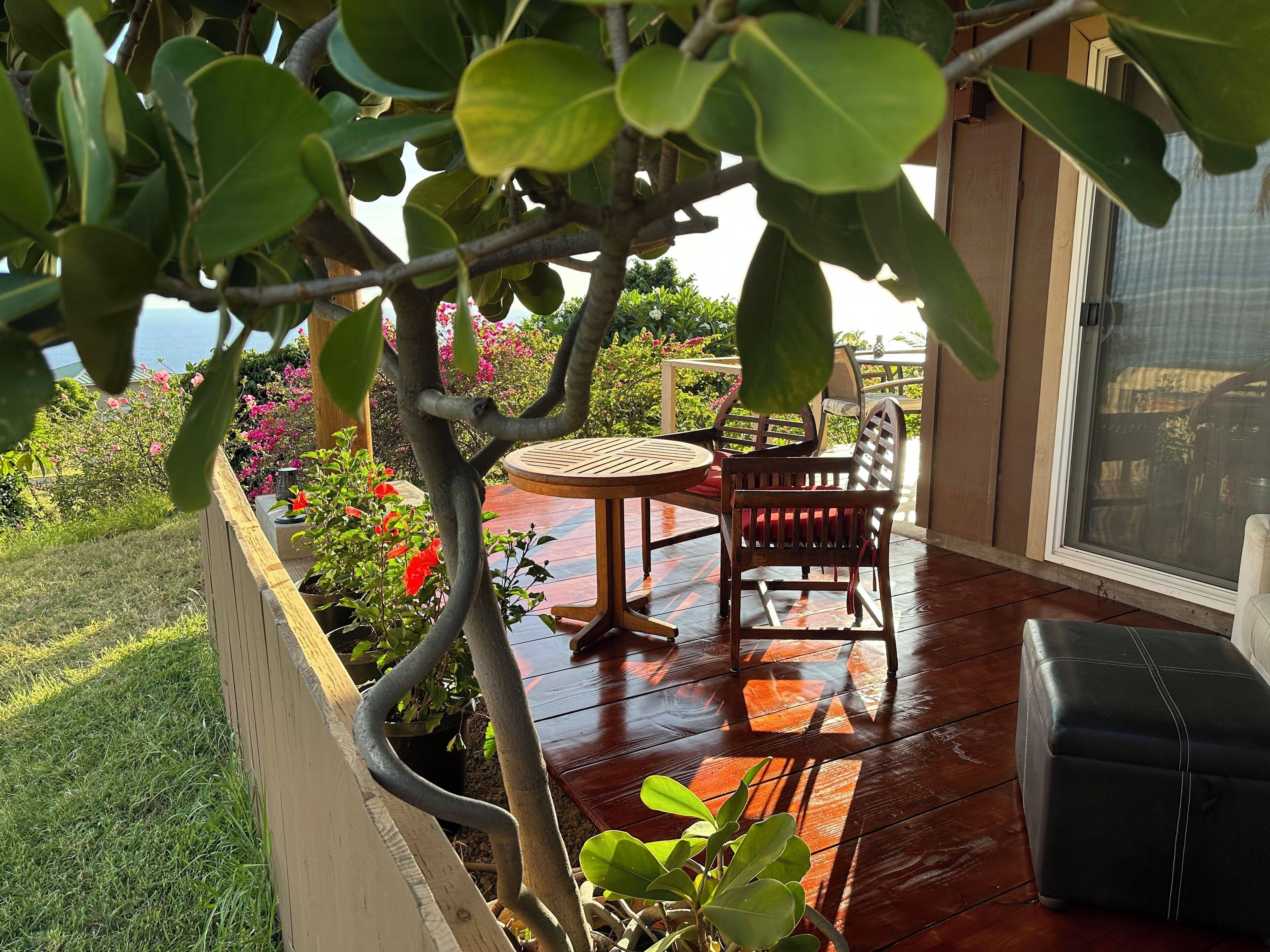 テラス / パティオ