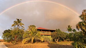 Una casa de techo rojo, rodeada de palmeras y otra vegetación.