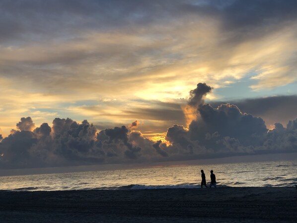 Playa en los alrededores y camastros