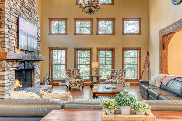 Smart TV, fireplace, DVD player, books