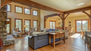 TV connectée, cheminée, lecteur de DVD, livres