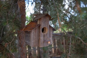 A wooden birdhouse hanging from a tree.