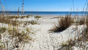 Um caminho de areia que leva ao oceano, com gramíneas altas e um céu azul límpido.
