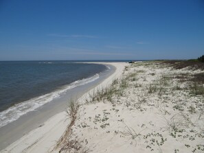 A beach with a sandy shoreline and sparse vegetation.