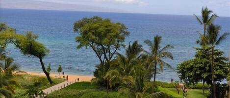 Plage, chaises longues, serviettes de plage
