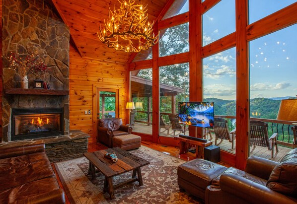 TV, fireplace, DVD player, books