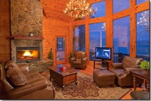 Smart TV, fireplace, DVD player, books
