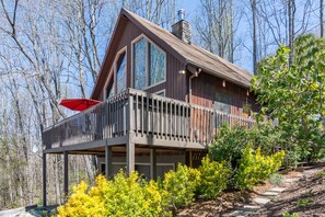 Exterior - Suzie's Luxury Cabin Asheville HOT TUB  VIEWS  nr BILTMORE (Asheville)